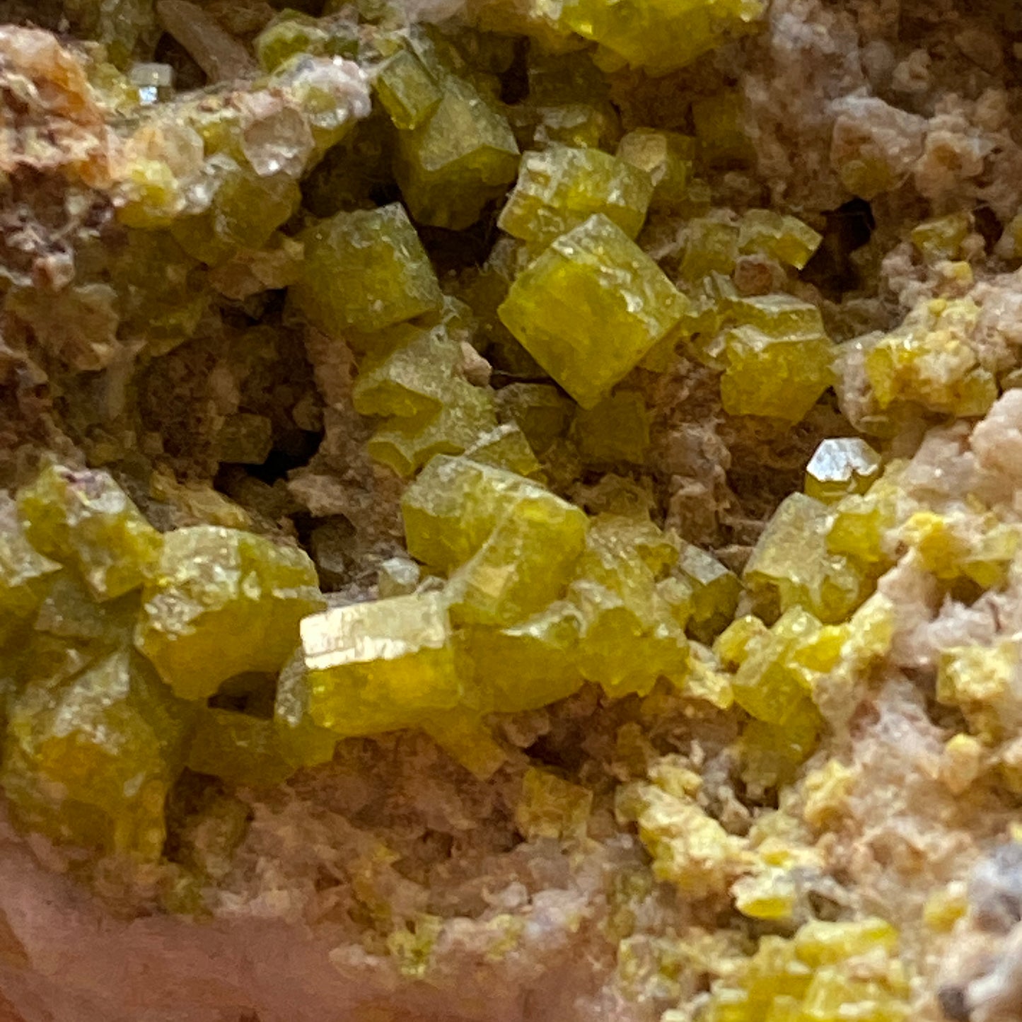 PYROMORPHITE ON QUARTZ ST HILARY, CORNWALL SUBSTANTIAL 646g MF776