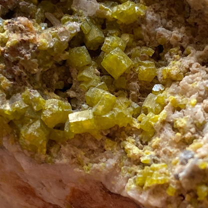 PYROMORPHITE ON QUARTZ ST HILARY, CORNWALL SUBSTANTIAL 646g MF776