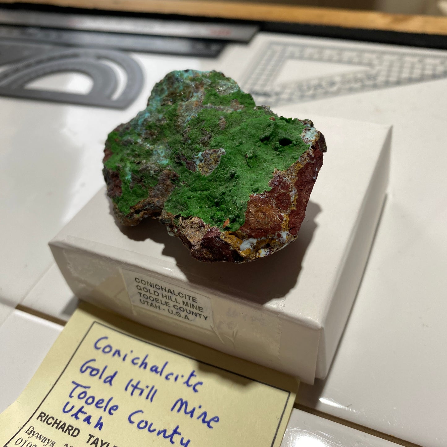 CONICHALCITE : GOLD HILL MINE, TOOELE COUNTY, UTAH - U.S.A. 61g MF4692