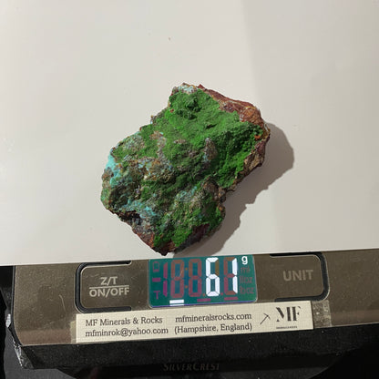 CONICHALCITE : GOLD HILL MINE, TOOELE COUNTY, UTAH - U.S.A. 61g MF4692