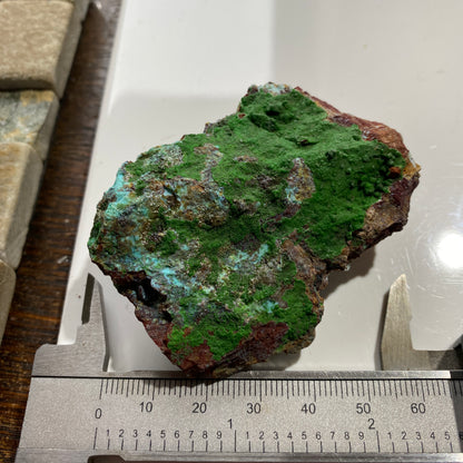 CONICHALCITE : GOLD HILL MINE, TOOELE COUNTY, UTAH - U.S.A. 61g MF4692