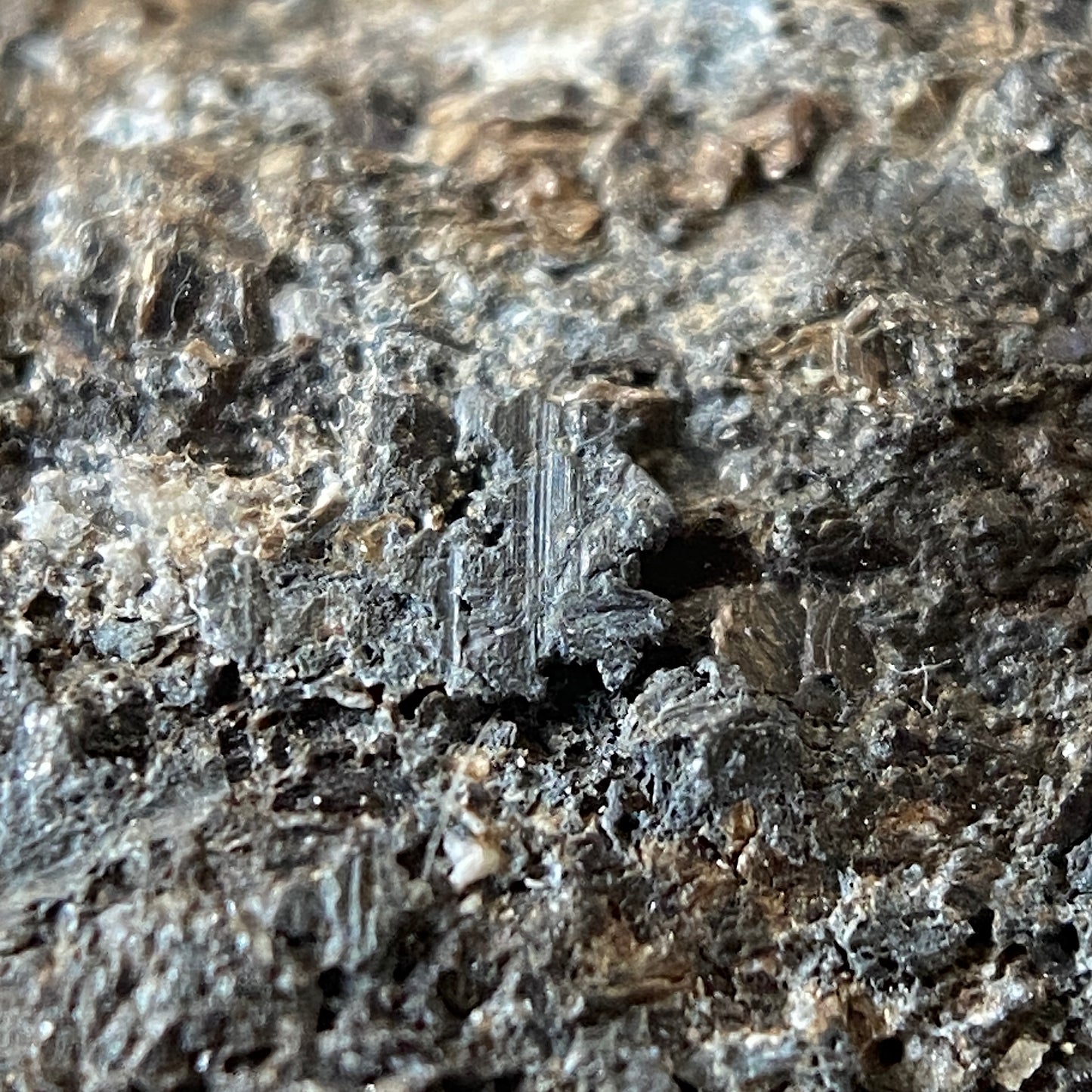 NATIVE LEAD(RARE) WITH ALLACTITE ETC FROM LANGBAN MINE, SWEDEN 12g