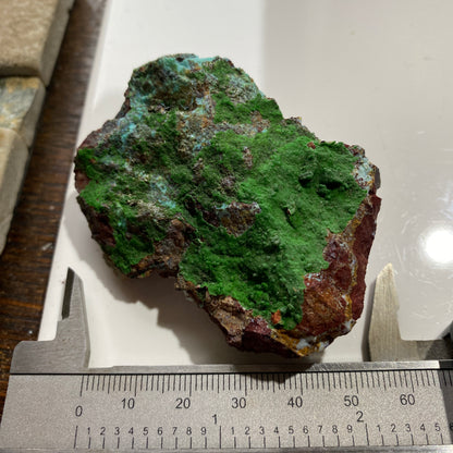 CONICHALCITE : GOLD HILL MINE, TOOELE COUNTY, UTAH - U.S.A. 61g MF4692