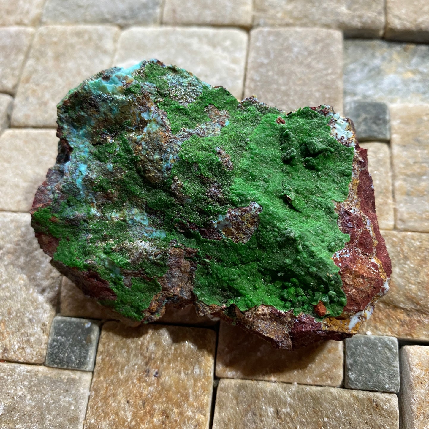 CONICHALCITE : GOLD HILL MINE, TOOELE COUNTY, UTAH - U.S.A. 61g MF4692