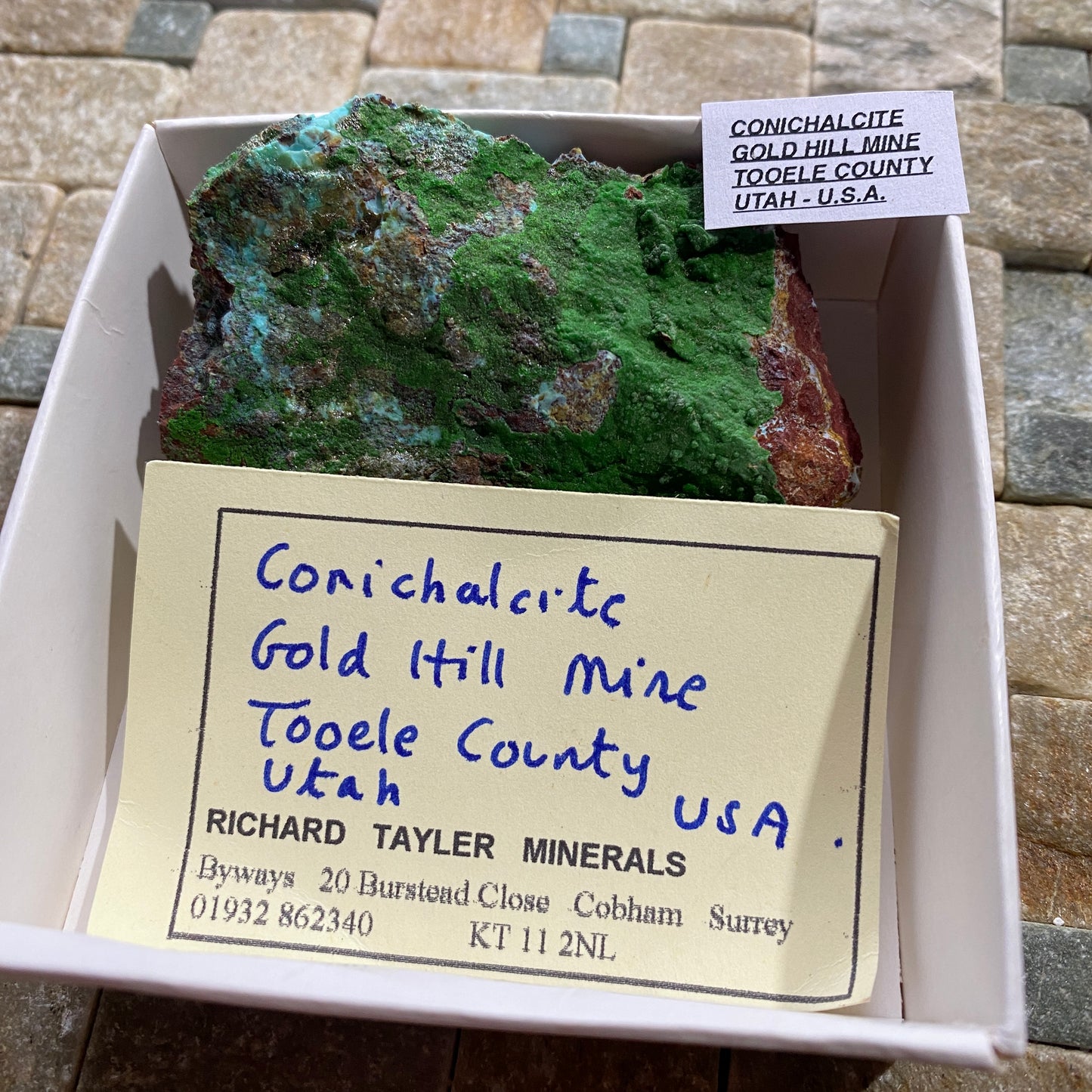 CONICHALCITE : GOLD HILL MINE, TOOELE COUNTY, UTAH - U.S.A. 61g MF4692