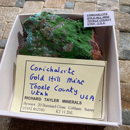 CONICHALCITE : GOLD HILL MINE, TOOELE COUNTY, UTAH - U.S.A. 61g MF4692