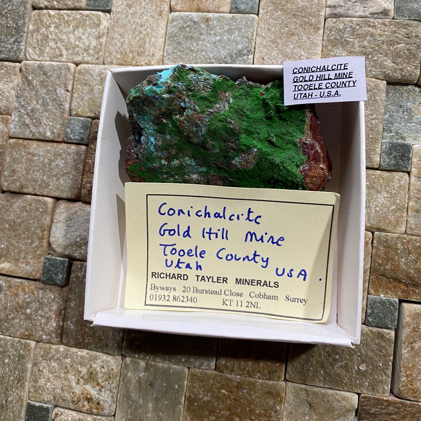 CONICHALCITE : GOLD HILL MINE, TOOELE COUNTY, UTAH - U.S.A. 61g MF4692