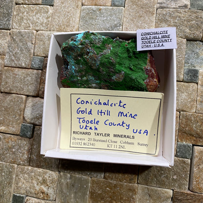 CONICHALCITE : GOLD HILL MINE, TOOELE COUNTY, UTAH - U.S.A. 61g MF4692