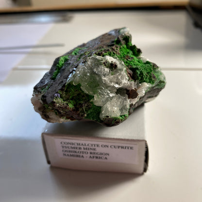 CONICHALCITE ON CUPRITE - TSUMEB MINE, NAMIBIA - RARE SPECIMEN 205g MF2166