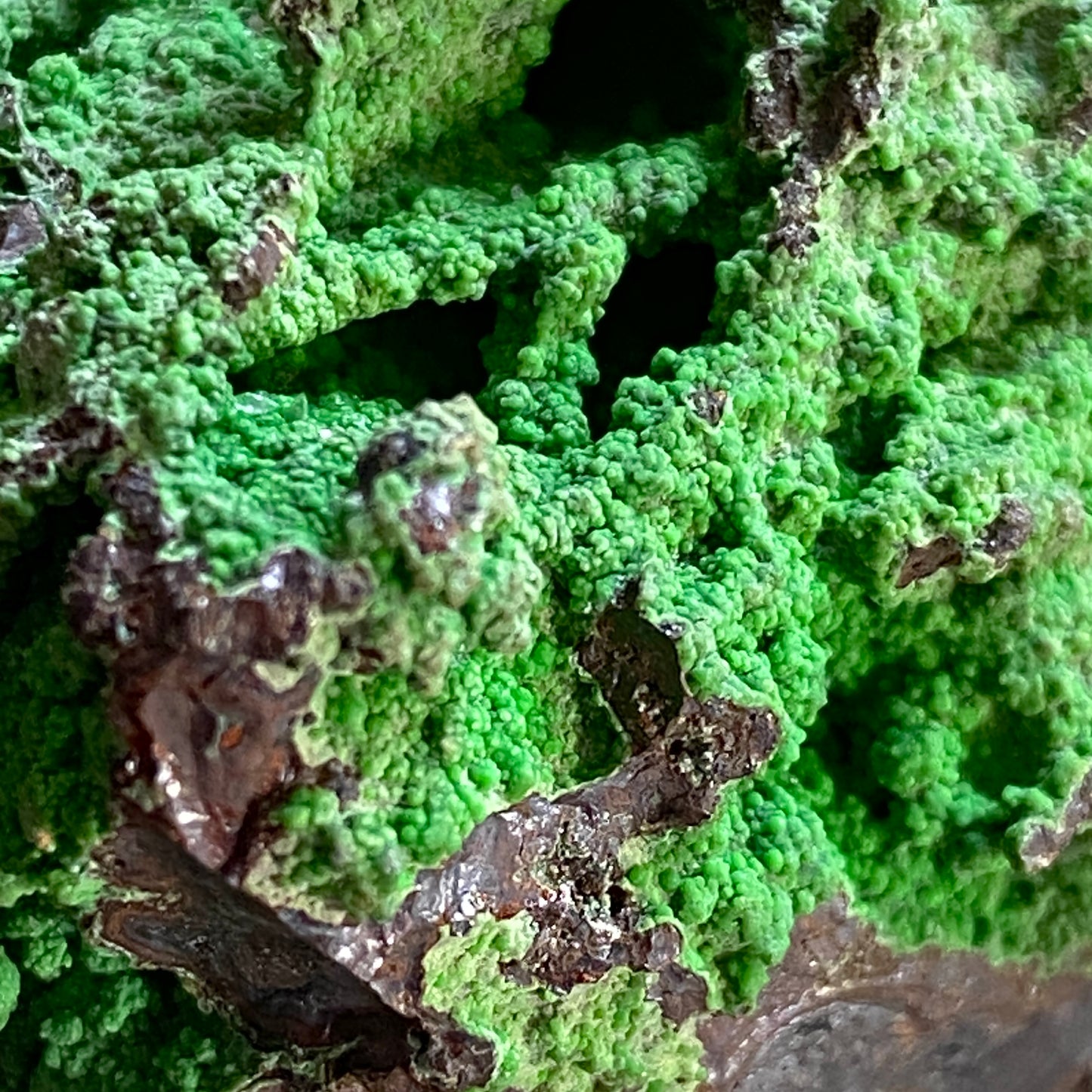 CONICHALCITE ON CUPRITE - TSUMEB MINE, NAMIBIA - RARE SPECIMEN 205g MF2166