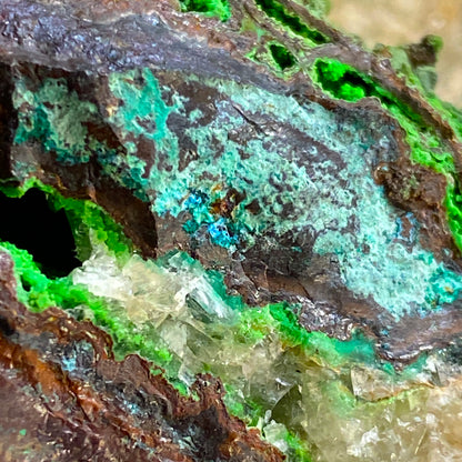 CONICHALCITE ON CUPRITE - TSUMEB MINE, NAMIBIA - RARE SPECIMEN 205g MF2166