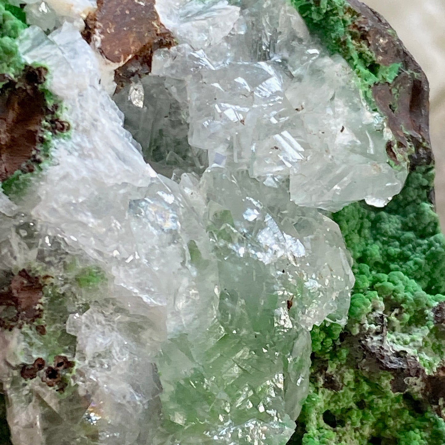 CONICHALCITE ON CUPRITE - TSUMEB MINE, NAMIBIA - RARE SPECIMEN 205g MF2166