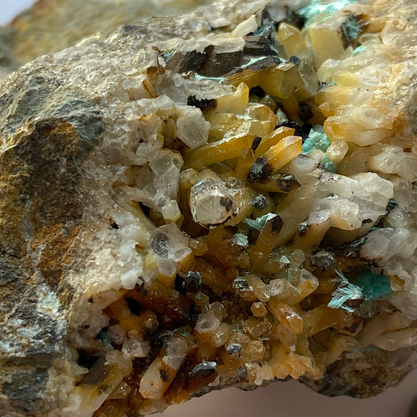 AURICHALCITE WITH QUARTZ/CHALCOPYRITE [ETC] - OJUELA MINE, MAPIMI, MEXICO 409g MF798