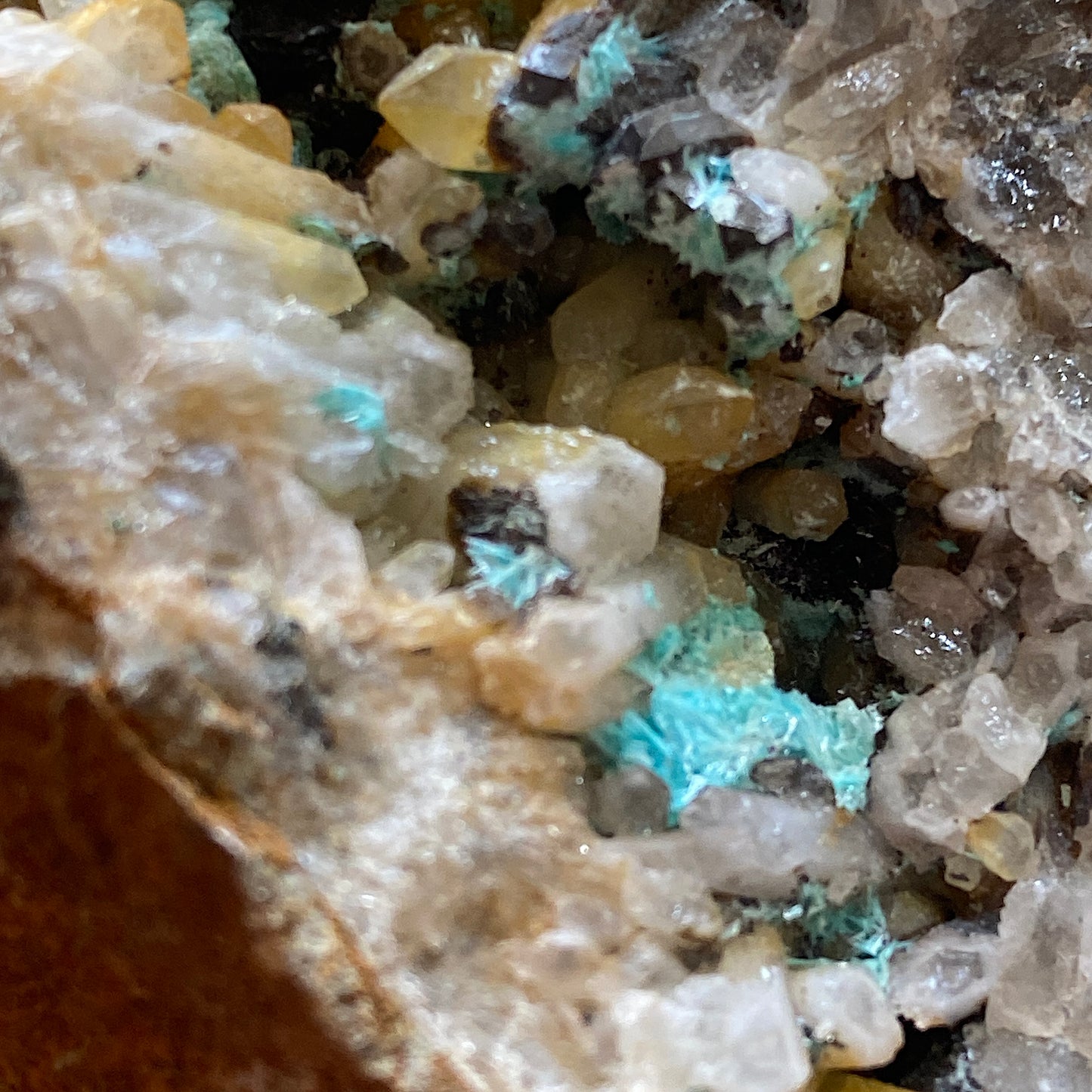 AURICHALCITE WITH QUARTZ/CHALCOPYRITE [ETC] - OJUELA MINE, MAPIMI, MEXICO 409g MF798