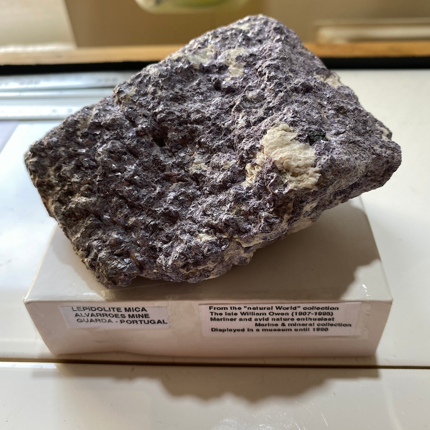 LEPIDOLITE WITH TRACES AUTUNITE - ALVARROES MINE, GUARDA. PORTUGAL MF715Z