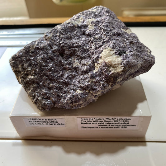 LEPIDOLITE WITH TRACES AUTUNITE - ALVARROES MINE, GUARDA. PORTUGAL MF715Z