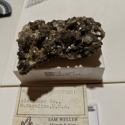 MUSCOVITE : ALEXANDER COUNTY, NORTH CAROLINA, U.S.A. 84g. MF4696