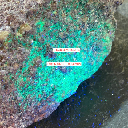 LEPIDOLITE WITH TRACES AUTUNITE - ALVARROES MINE, GUARDA. PORTUGAL MF715Z