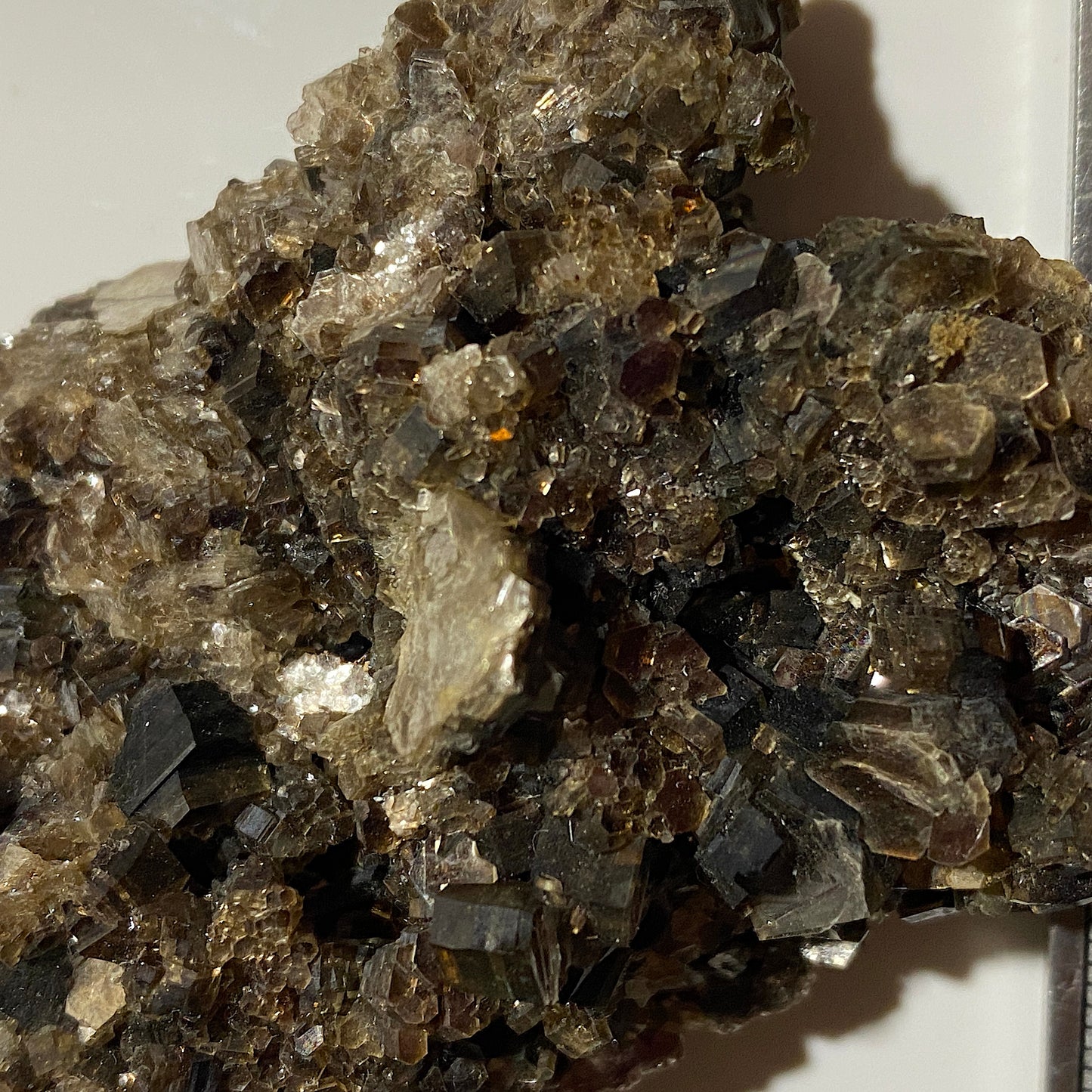 MUSCOVITE : ALEXANDER COUNTY, NORTH CAROLINA, U.S.A. 84g. MF4696