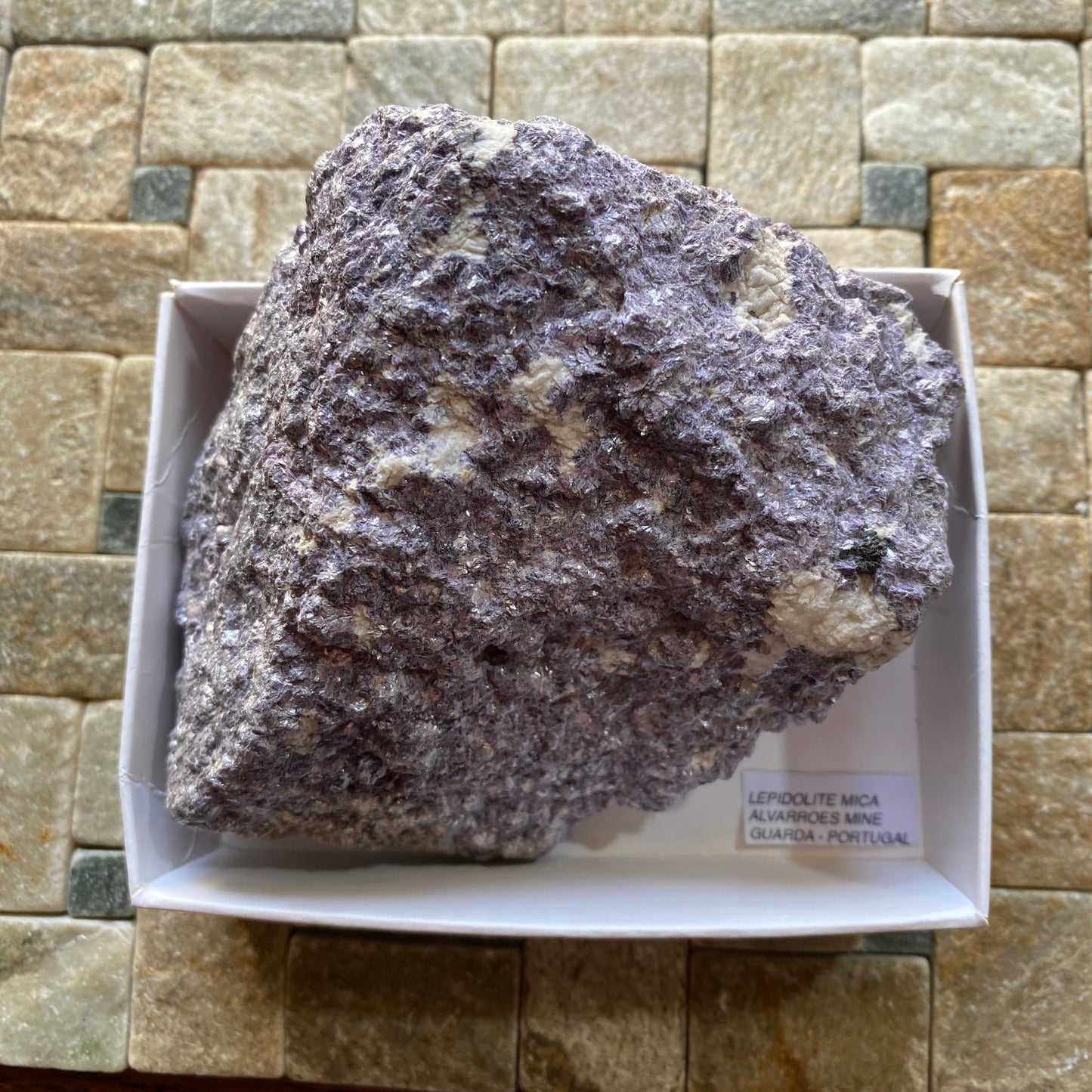 LEPIDOLITE WITH TRACES AUTUNITE - ALVARROES MINE, GUARDA. PORTUGAL MF715Z