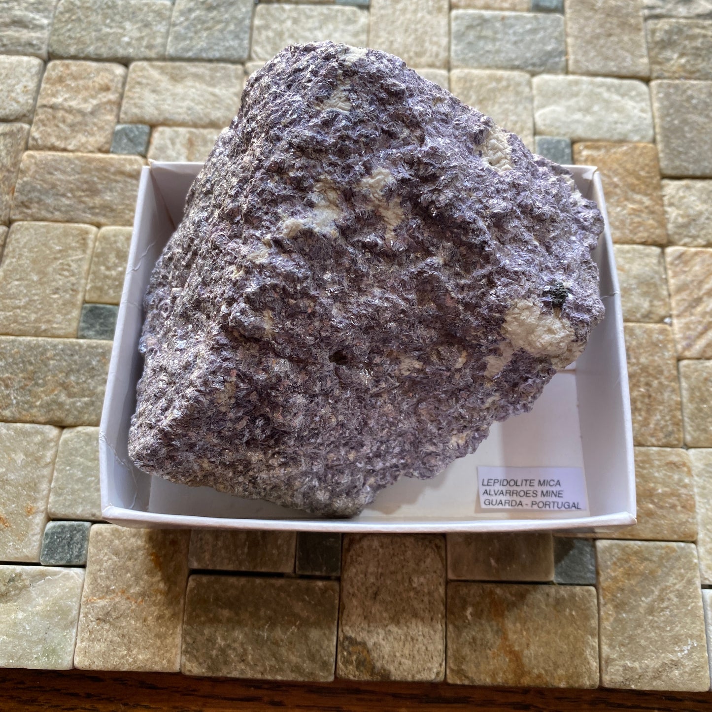 LEPIDOLITE WITH TRACES AUTUNITE - ALVARROES MINE, GUARDA. PORTUGAL MF715Z