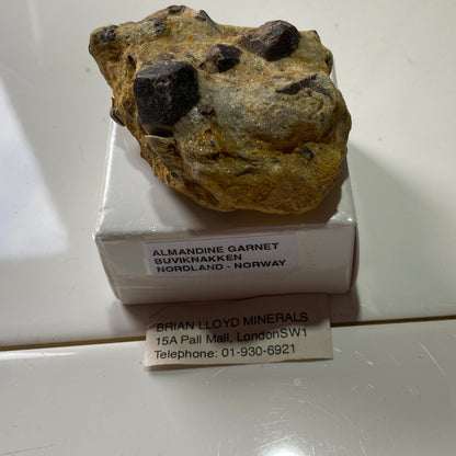 ALMANDINE GARNET ON MICA SCHIST  - BUVIKNAKKEN, NORDLAND, NORWAY  82g MF765