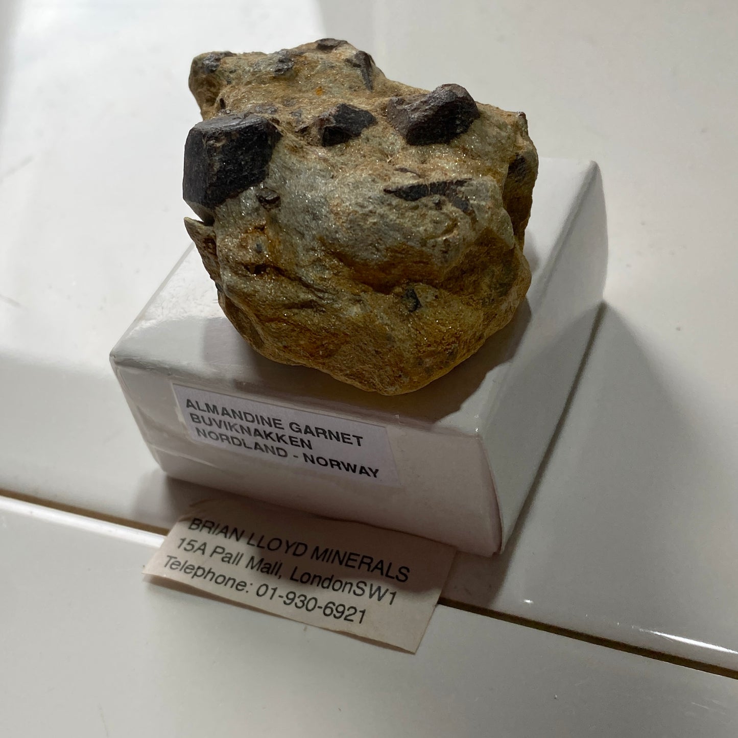 ALMANDINE GARNET ON MICA SCHIST  - BUVIKNAKKEN, NORDLAND, NORWAY  82g MF765