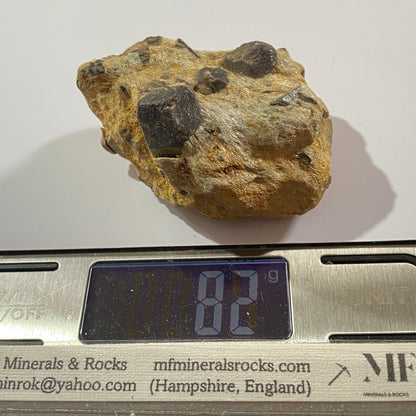 ALMANDINE GARNET ON MICA SCHIST  - BUVIKNAKKEN, NORDLAND, NORWAY  82g MF765