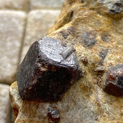 ALMANDINE GARNET ON MICA SCHIST  - BUVIKNAKKEN, NORDLAND, NORWAY  82g MF765