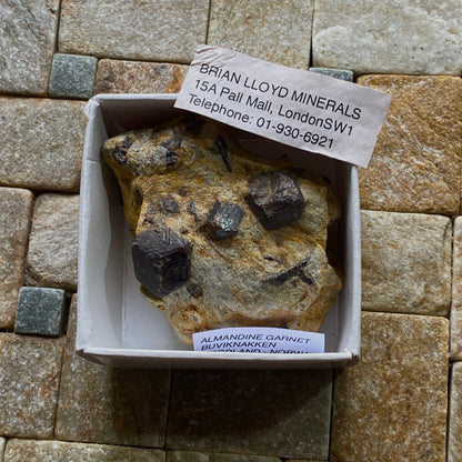 ALMANDINE GARNET ON MICA SCHIST  - BUVIKNAKKEN, NORDLAND, NORWAY  82g MF765