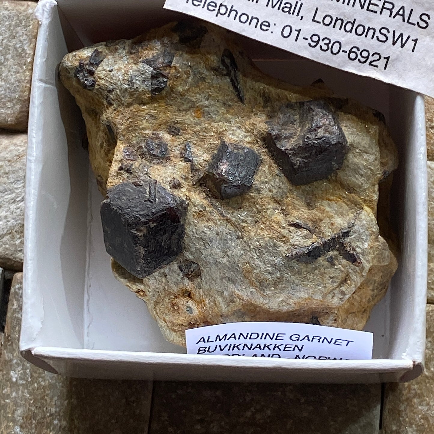 ALMANDINE GARNET ON MICA SCHIST  - BUVIKNAKKEN, NORDLAND, NORWAY  82g MF765