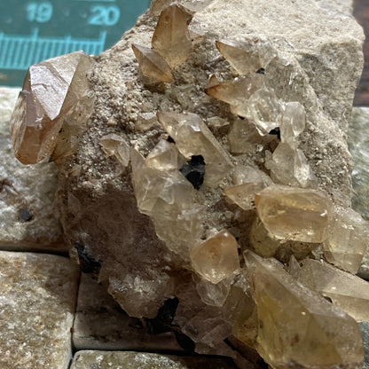 PIEZA CLÁSICA DE CALCITA/HIDROCARBURO DE INDIANA, EE. UU. 36 g MF742