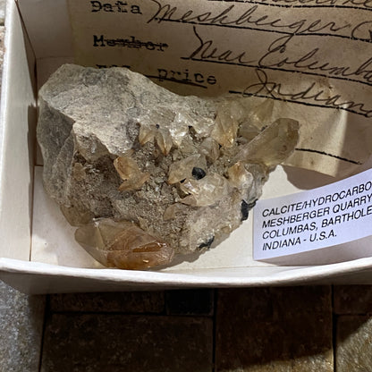 PIEZA CLÁSICA DE CALCITA/HIDROCARBURO DE INDIANA, EE. UU. 36 g MF742