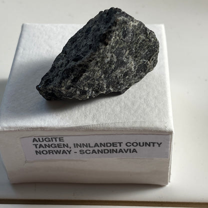 AUGITE - TANGEN, INNLANDET COUNTY, NORWAY.  23g  MF3594