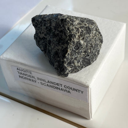 AUGITE - TANGEN, INNLANDET COUNTY, NORWAY.  23g  MF3594