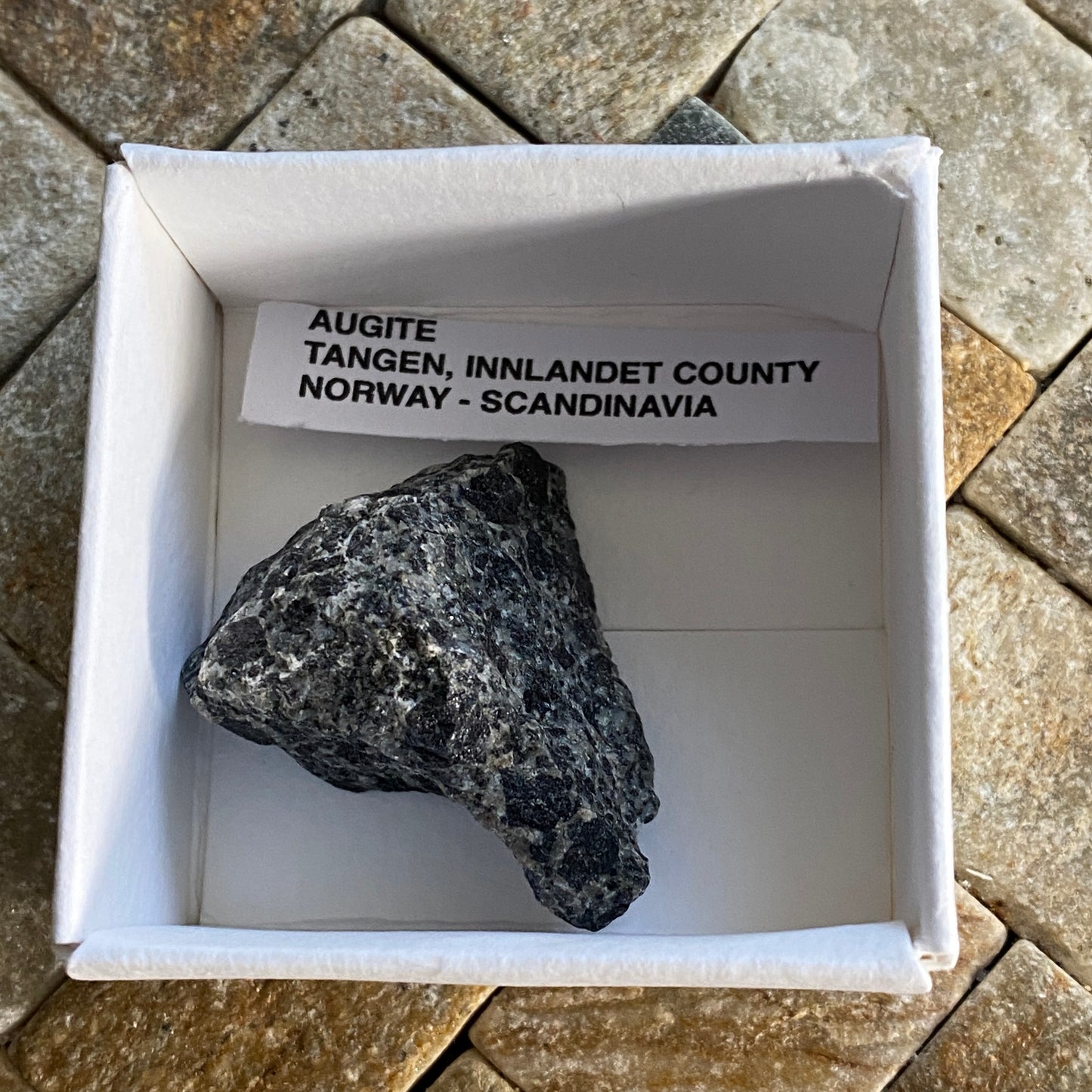 AUGITE - TANGEN, INNLANDET COUNTY, NORWAY.  23g  MF3594