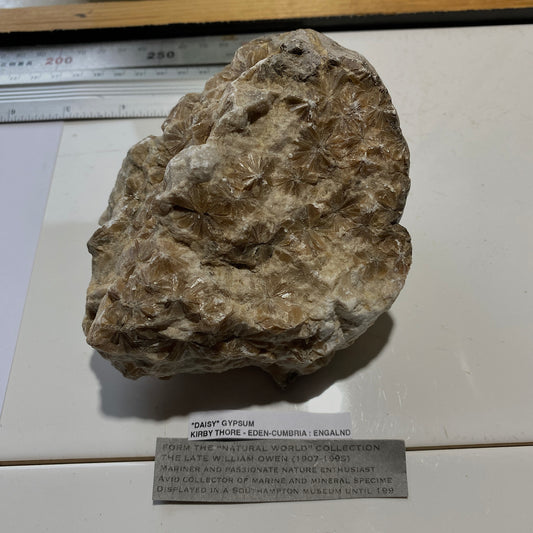"DAISY" GYPSUM - KIRBY THORE, EDEN, CUMBRIA. 848g MF703