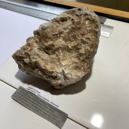 "DAISY" GYPSUM - KIRBY THORE, EDEN, CUMBRIA. 848g MF703