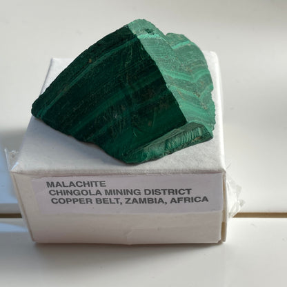 MALACHITE - CHINGOLA MINING DISTRICT, COPPER BELT, ZAMBIA  56g. MF9626