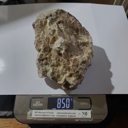 "DAISY" GYPSUM - KIRBY THORE, EDEN, CUMBRIA. 848g MF703