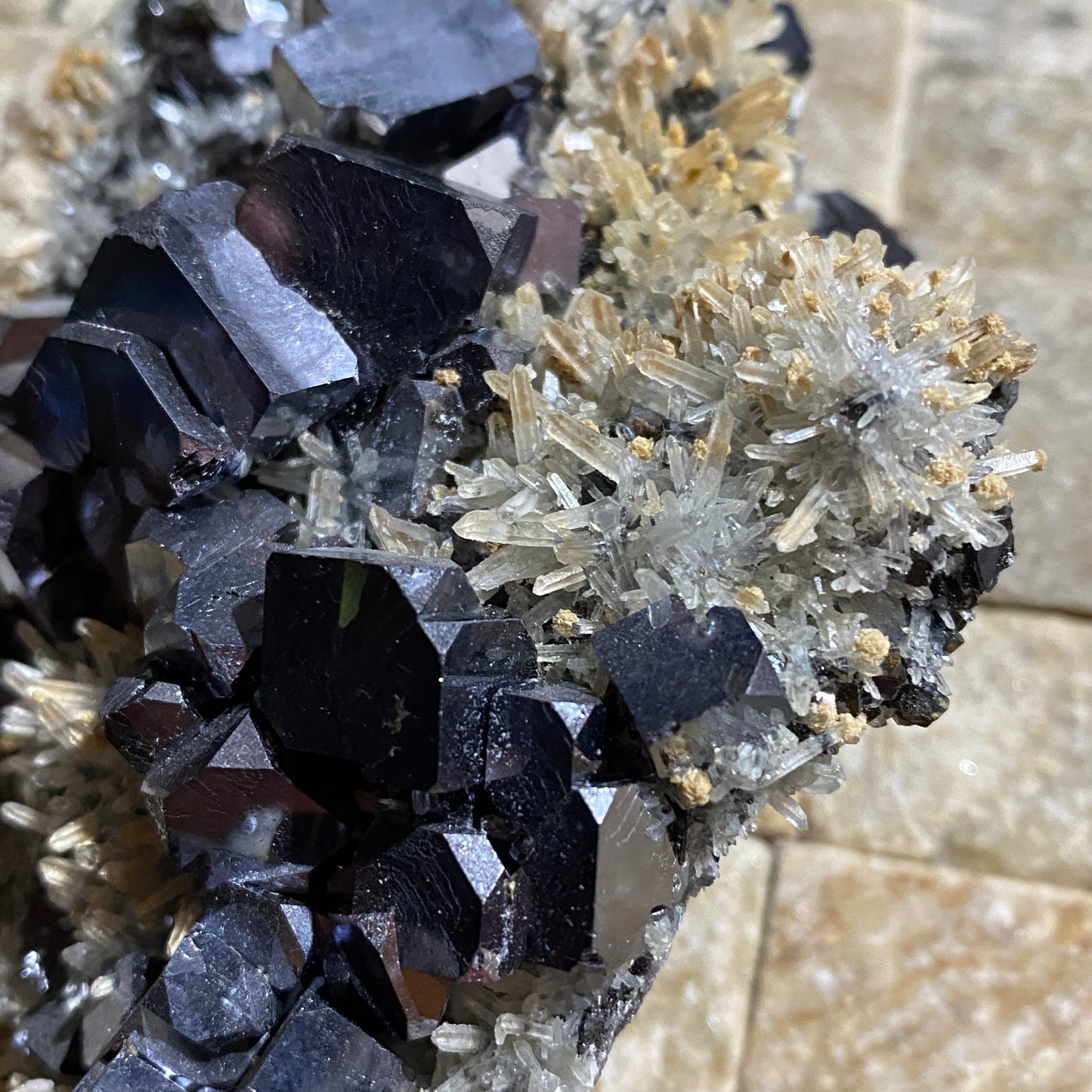 GALENA WITH QUARTZ EXCEPTIONAL SPECIMEN : KRUSHEV MINE, BULGARIA 460g MF4698