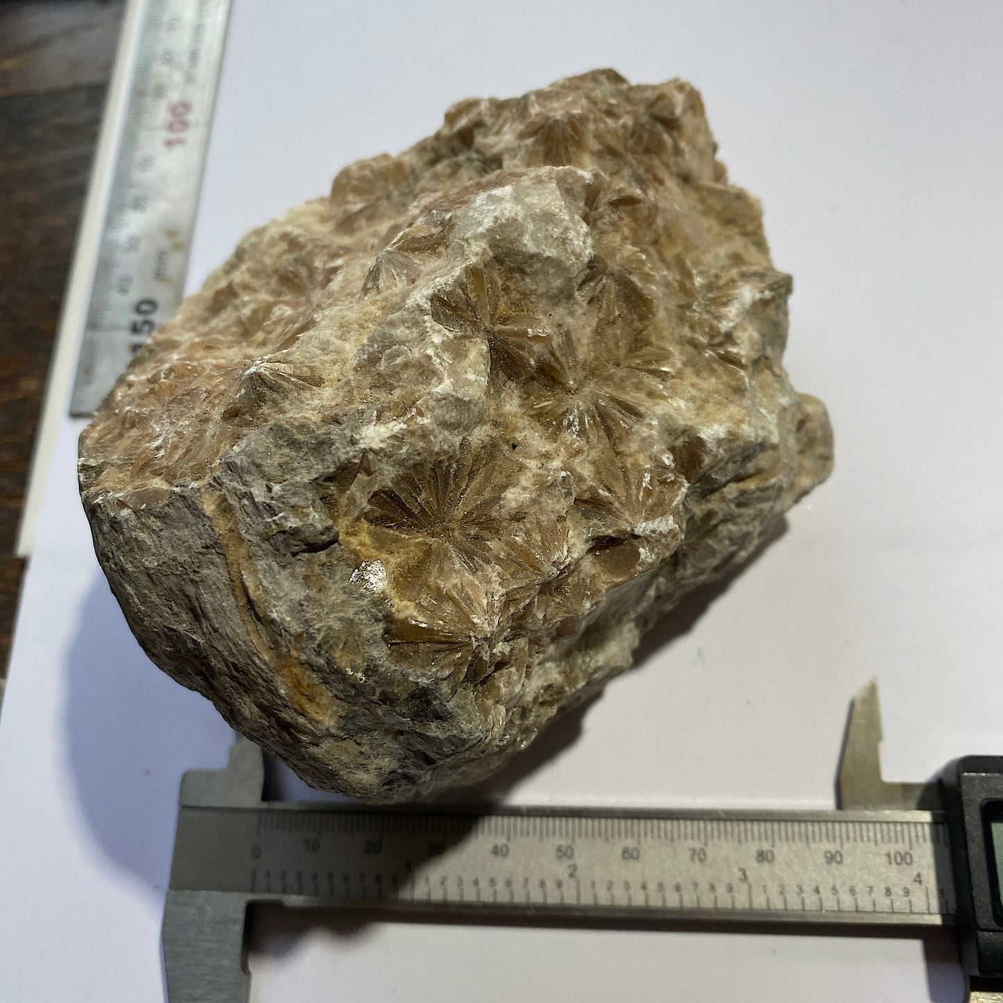 "DAISY" GYPSUM - KIRBY THORE, EDEN, CUMBRIA. 848g MF703