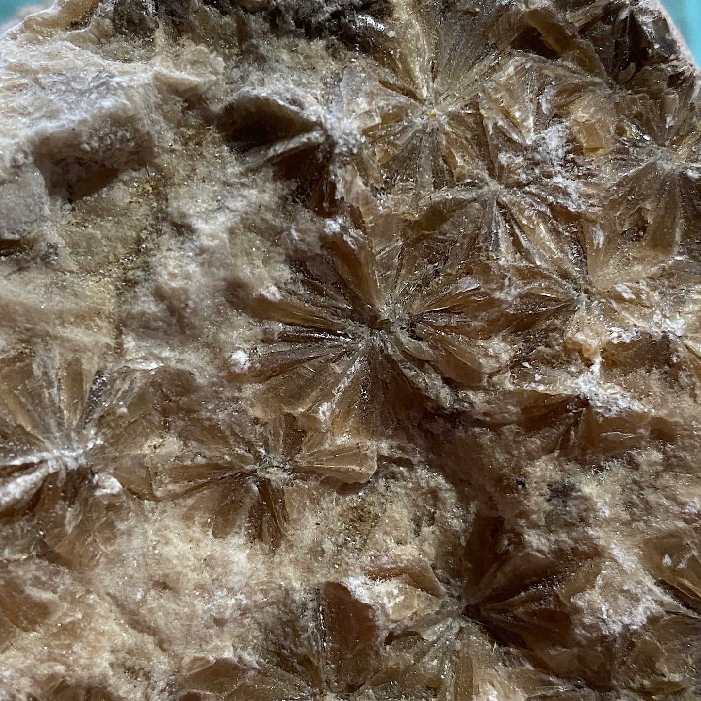 "DAISY" GYPSUM - KIRBY THORE, EDEN, CUMBRIA. 848g MF703