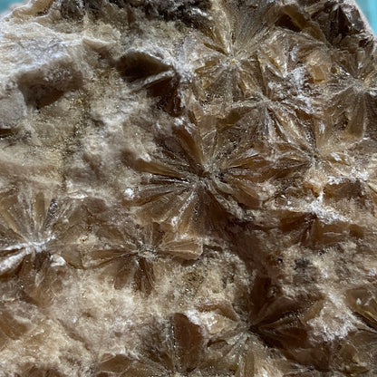 "DAISY" GYPSUM - KIRBY THORE, EDEN, CUMBRIA. 848g MF703