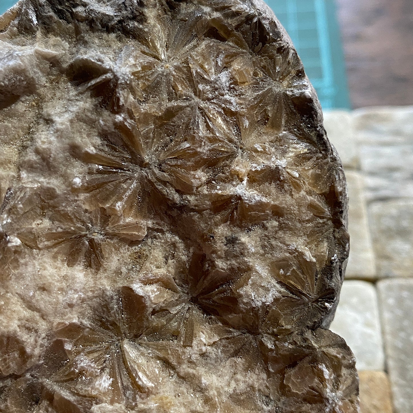 "DAISY" GYPSUM - KIRBY THORE, EDEN, CUMBRIA. 848g MF703