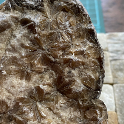 "DAISY" GYPSUM - KIRBY THORE, EDEN, CUMBRIA. 848g MF703