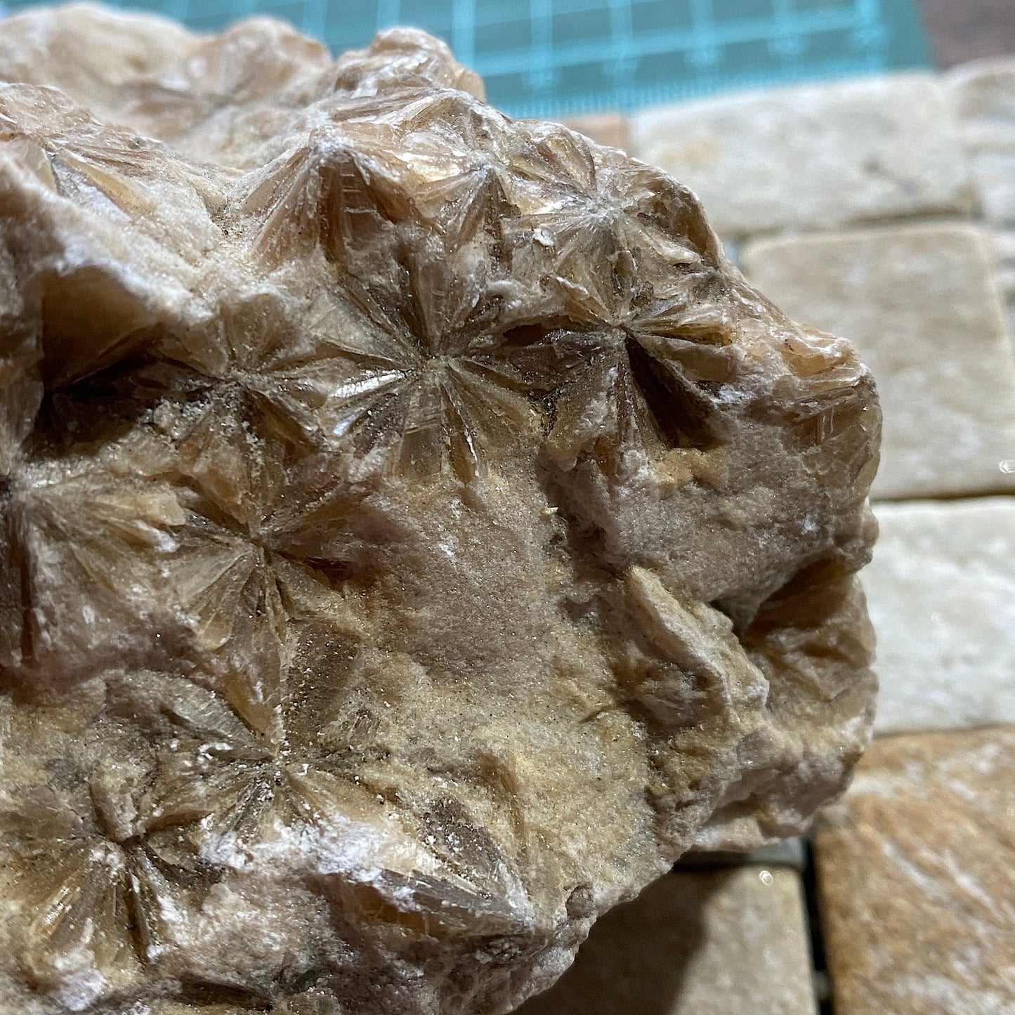 "DAISY" GYPSUM - KIRBY THORE, EDEN, CUMBRIA. 848g MF703