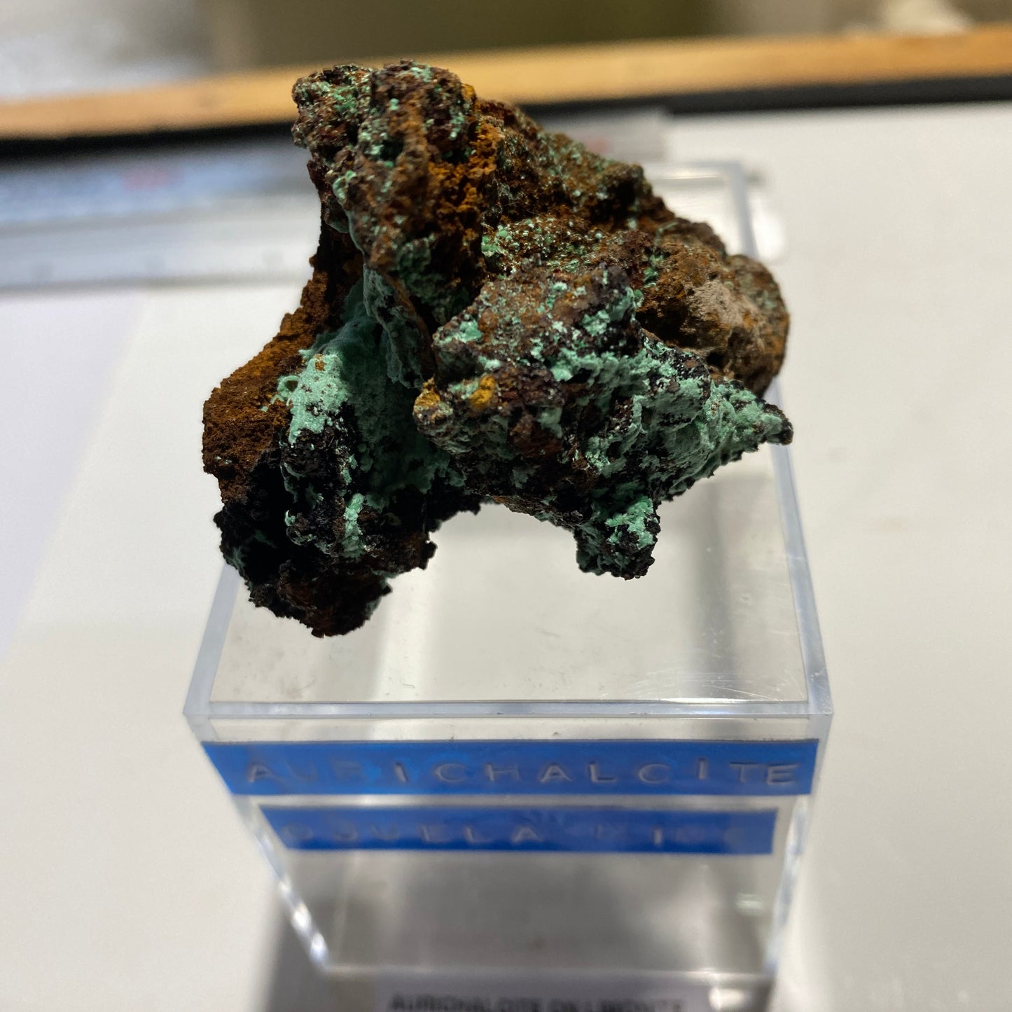 AURICHALCITE ON LIMONITE - OJUELA MINE, MAPIMI, DURANGO, MEXICO 45g MF786