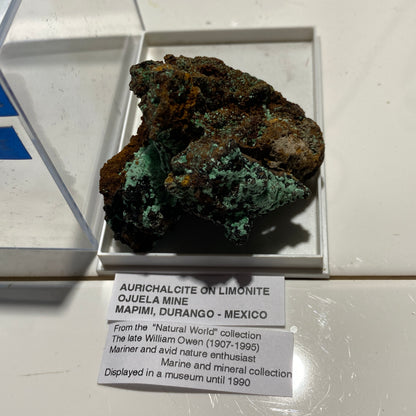 AURICHALCITE ON LIMONITE - OJUELA MINE, MAPIMI, DURANGO, MEXICO 45g MF786