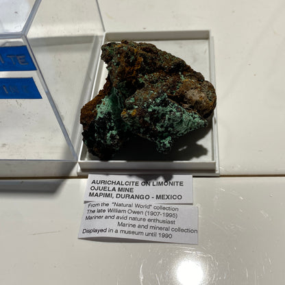 AURICHALCITE ON LIMONITE - OJUELA MINE, MAPIMI, DURANGO, MEXICO 45g MF786